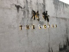 -几荷·恰似故人来(秀水广场店)