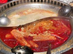 -辣伍鲜毛肚老火锅(元一店)