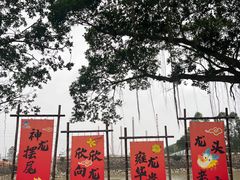 -大湾区中央湿地公园