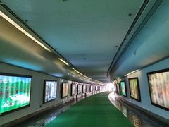 -赤水丹霞旅游区·大瀑布