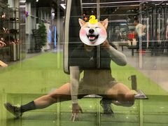 -OXYGYM 奥美氧舱运动中心(朝阳大悦城店)