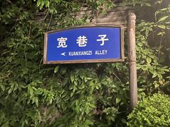 -泡桐树街
