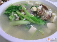 蛤蜊豆腐汤,很鲜大-海岛渔村大酒店(云霄路店)