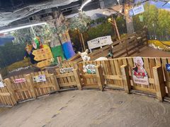 -正佳雨林生态植物园
