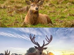 -前王院•巧克力海鲜市集餐厅(万平口店)