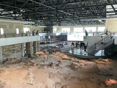 -自贡恐龙博物馆