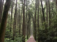 -同里国家湿地公园