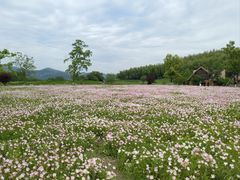 -良渚古城遗址公园