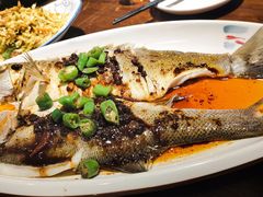 -七菜馆·东北菜·蒸饺(文体路店)