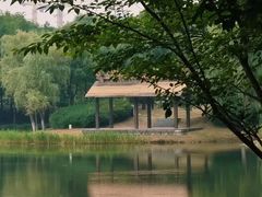 -贡湖湾湿地公园