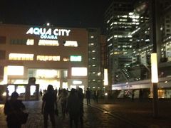 -台场海滨公园船码头