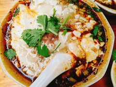 -新繁牛肉豆花(都江堰店)