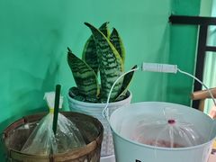 -泰茶清吾·老挝冰咖啡·绵绵冰(泉州首店)