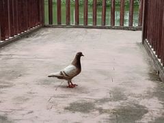 -揭东万竹园旅游景区