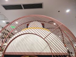 点击看大图 -MELAND CLUB亲子乐园·派对·餐厅(北京芳圆里ID MALL店)