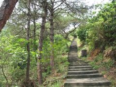 -风云岭森林公园