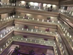 -南京禄口机场雅高铂尔曼大酒店