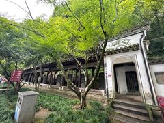 -严子陵钓台(富春江小三峡)