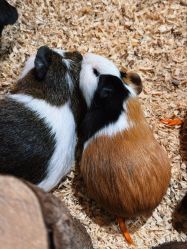 -Zoolung Zoolung动物主题公园(海信广场店)