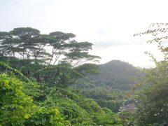 -水濂山森林公园