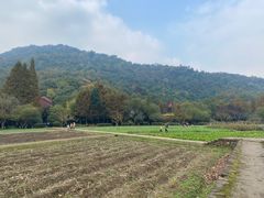 -八卦田遗址公园