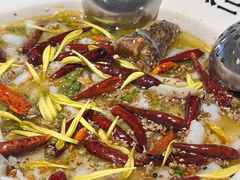 -新太二·鲜料川菜(智慧城广百店)