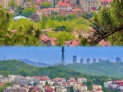 -信号山公园