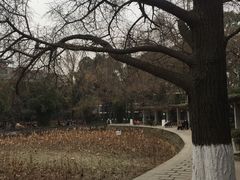 -四川大学(华西校区)