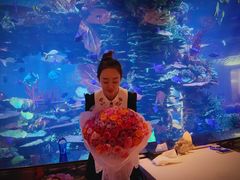 -迪拜帆船酒店海底餐厅