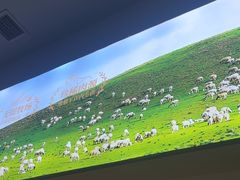 -东门口·新式老北京火锅(河西龙湖天街店)