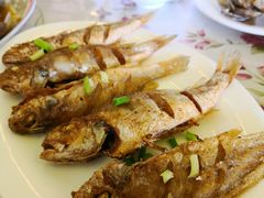 -花乐餐厅(涠洲岛店)