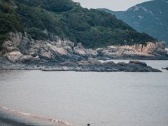 -桃花岛风景旅游区