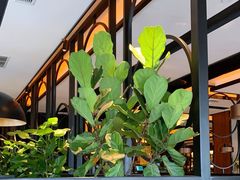 -半秋山西餐厅(宜昌大洋店)