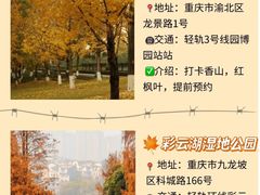 -埠口精酿夜景餐酒吧· BREWPORT BISTRO(长嘉汇重庆之眼店)
