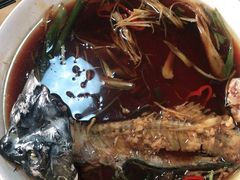 -煲来饱去冷水鱼