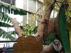 -呀路古热带植物园