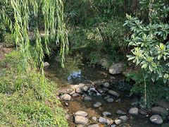 -白马涧龙池景区