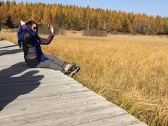 -塞罕坝国家级自然保护区