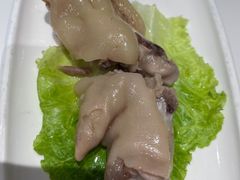 -丁老爷子苏香圆
