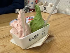 -野人牧坊Gelato(苏州中心店)