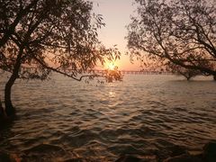 -宝安西湾红树林湿地公园