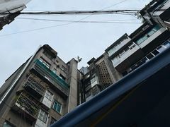 -胖哥家藏菜(护国路店)