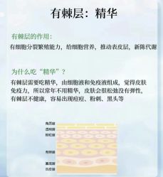 点击看大图 -玛莲朵·海菲秀冰珀科