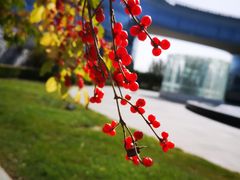 -中关村生命科学园