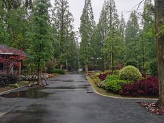 -东平国家森林公园