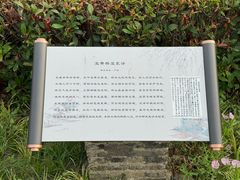 -澹台湖公园