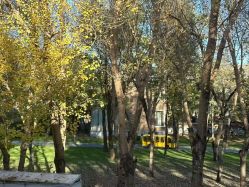 -皇家月府月子中心(沈阳店)