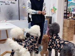 -翊宠yipet猫狗购宠庄园犬舍•猫舍