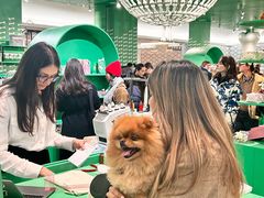 -乐蓬马歇百货公司(Rive Gauche)