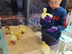 -怪兽屋·羊驼·猫咖·狗咖(俊华广场店)